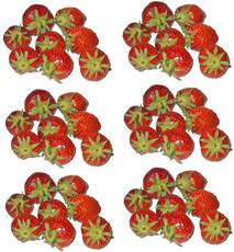 Erdbeeren-6x8.jpg